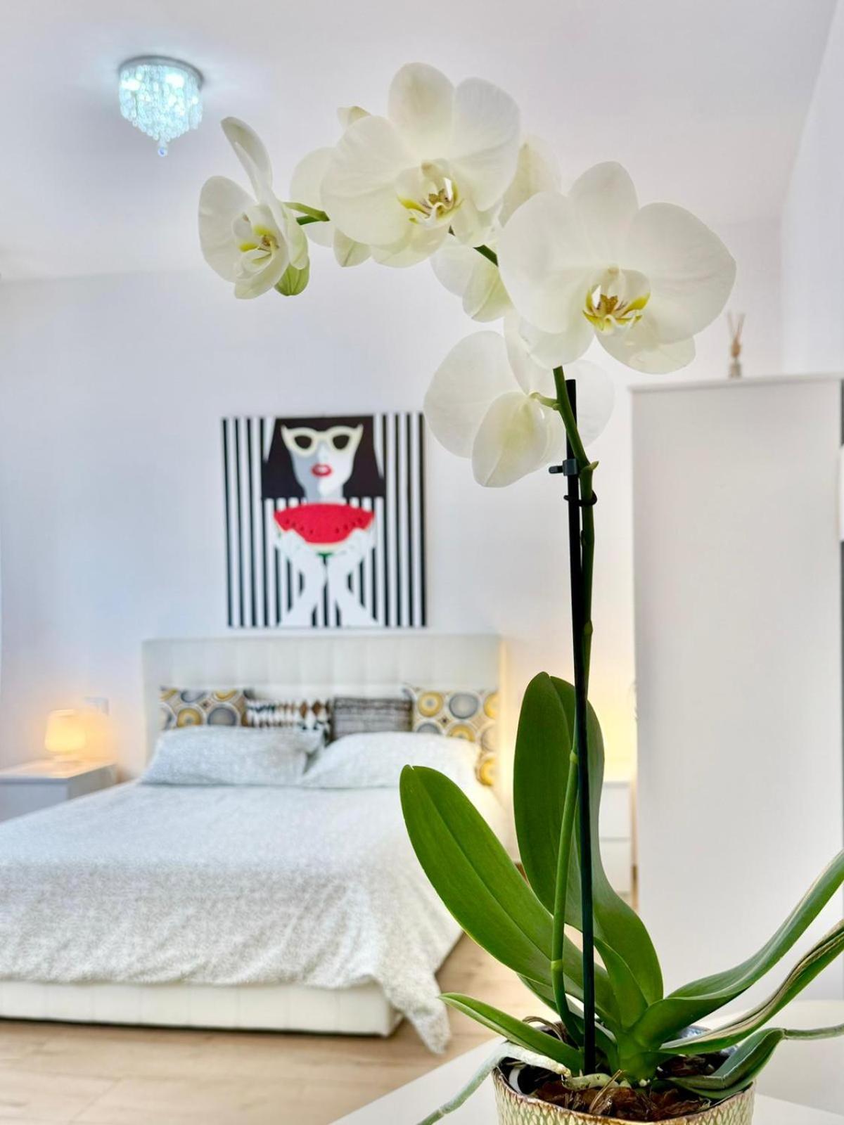 Travel Fiera Apartment Bologna Ngoại thất bức ảnh